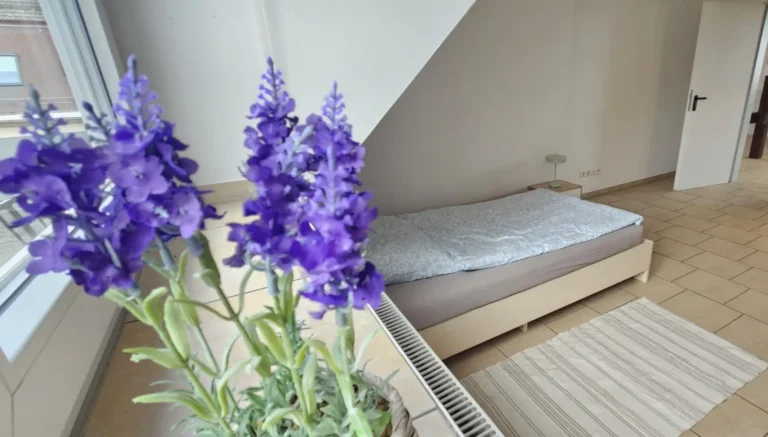 Wohnung Einheit 411 im Objekt Chemnitzer Straße 44 in Freiberg